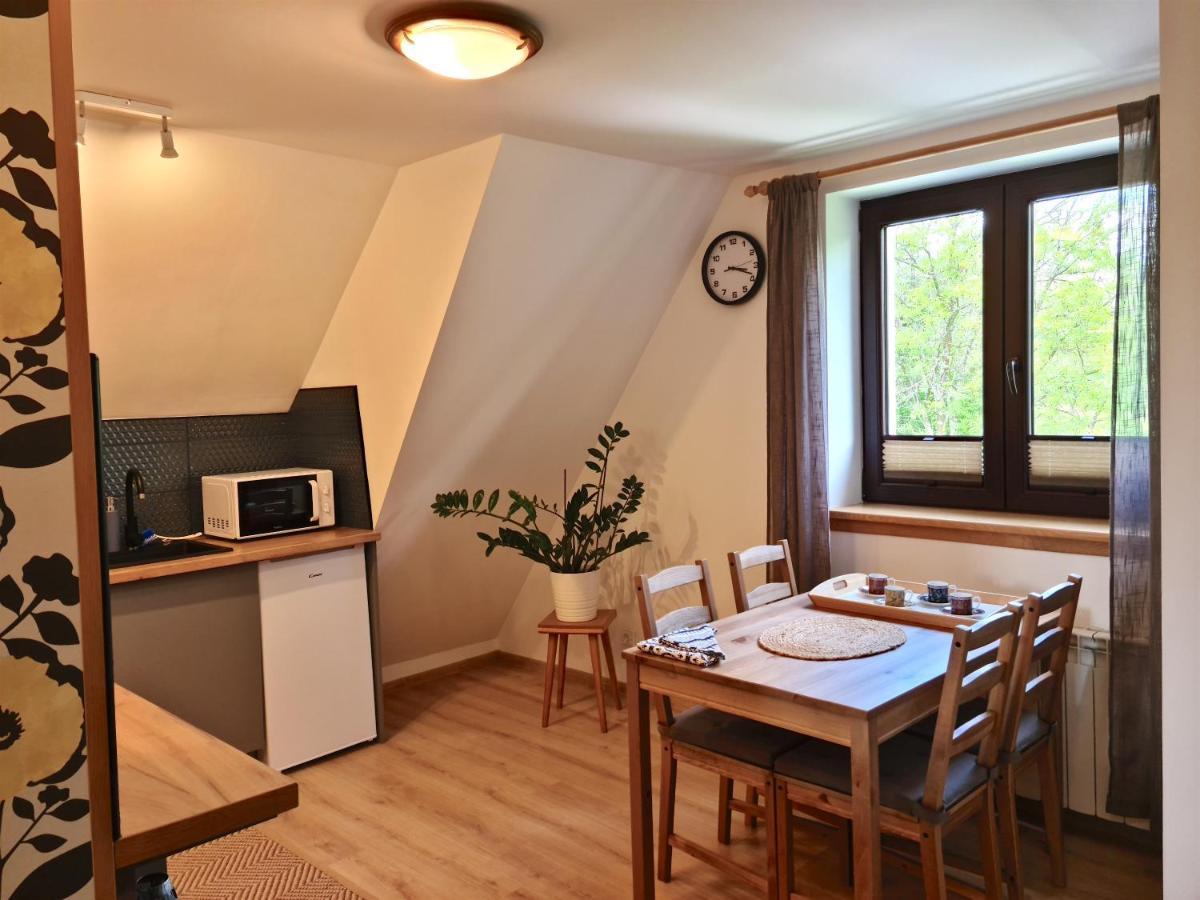 זקופאנה Apartamenty Skalna Chata מראה חיצוני תמונה